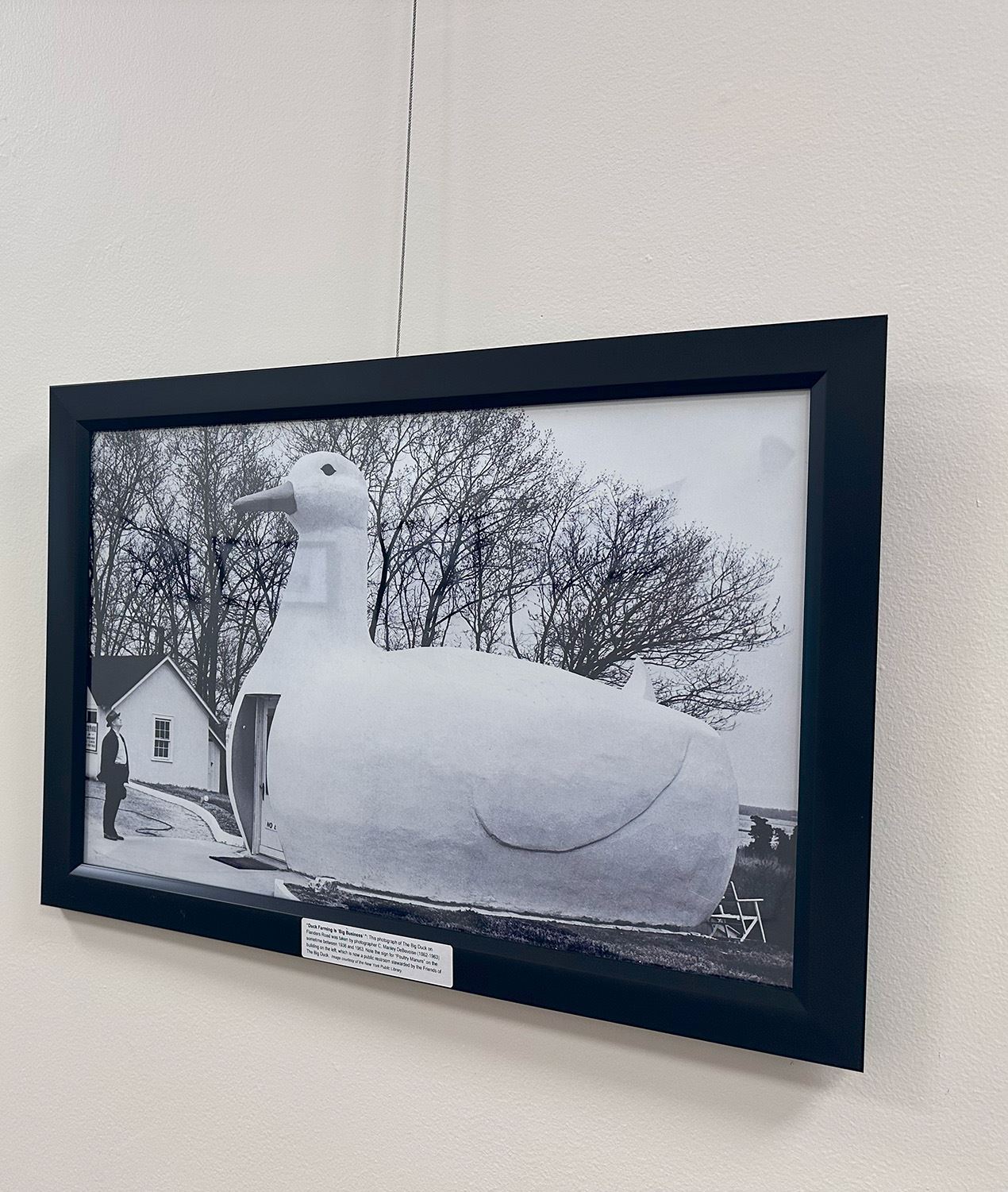  ‘Historical Photographs of Flanders’ Exhibit Opens at Southampton Town Hall