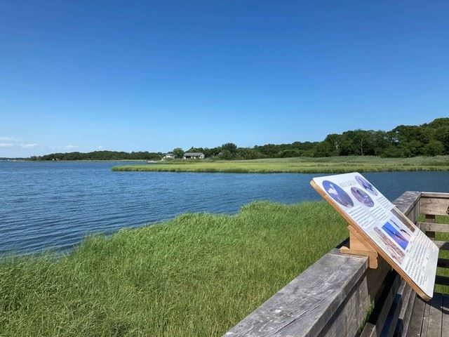 Vista to the South of the Observation Deck