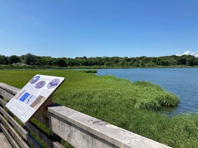 Vista to the North of the Observation Deck