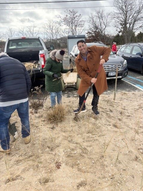 Councilman Michael Iasilli helps plant beach grass at Long Beach, Dec. 6, 2025